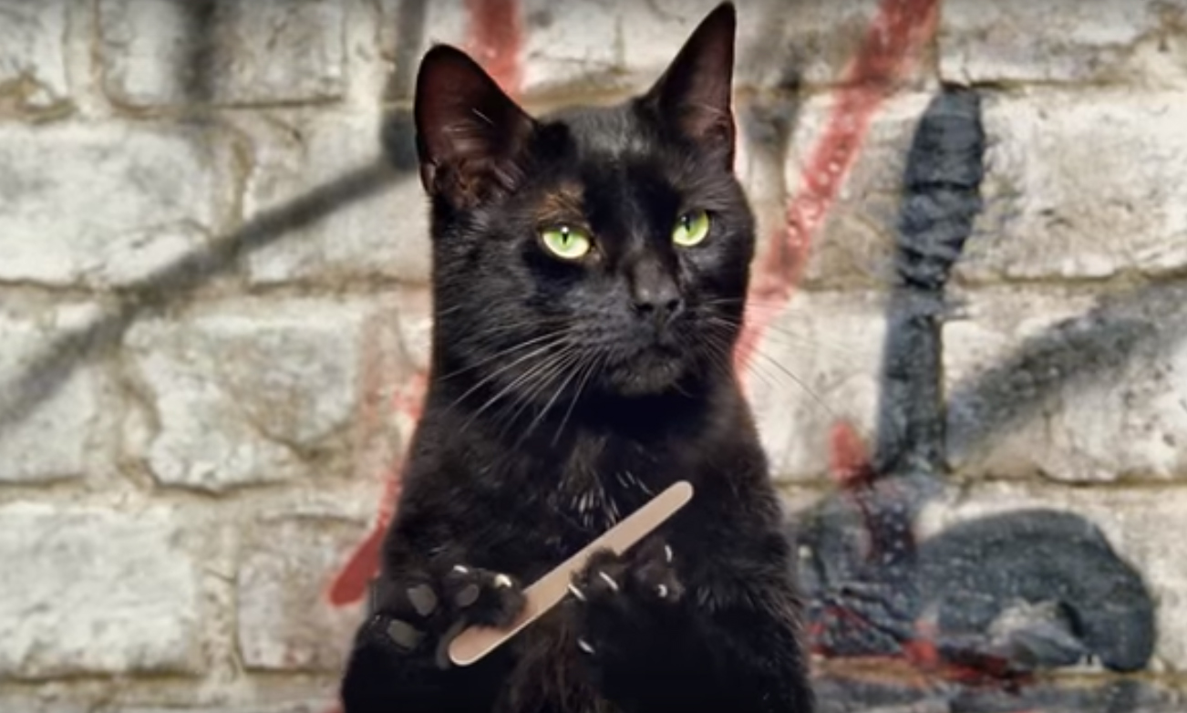 Yes, It's The BestEver Cat Commercials To Brighten Up Your Friday B&T