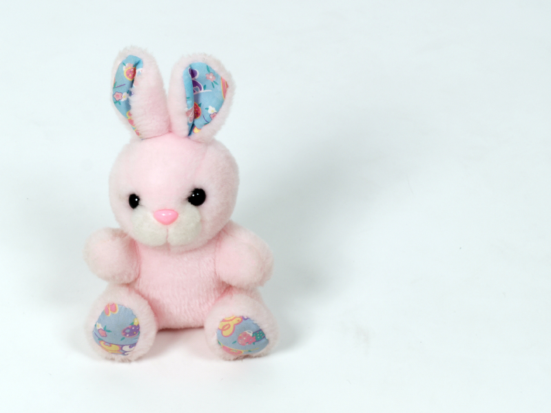 Girl Reunited With Toy Bunny After Twitter Campaign - B&T