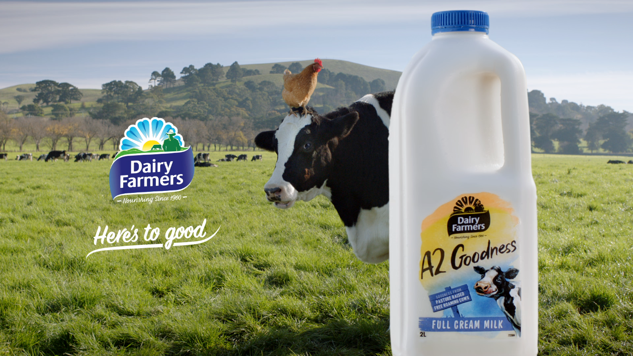 Dairy Farmers Launches New ‘dairy Farmers A2 Goodness Campaign Via Ajf Growthops Bandt 