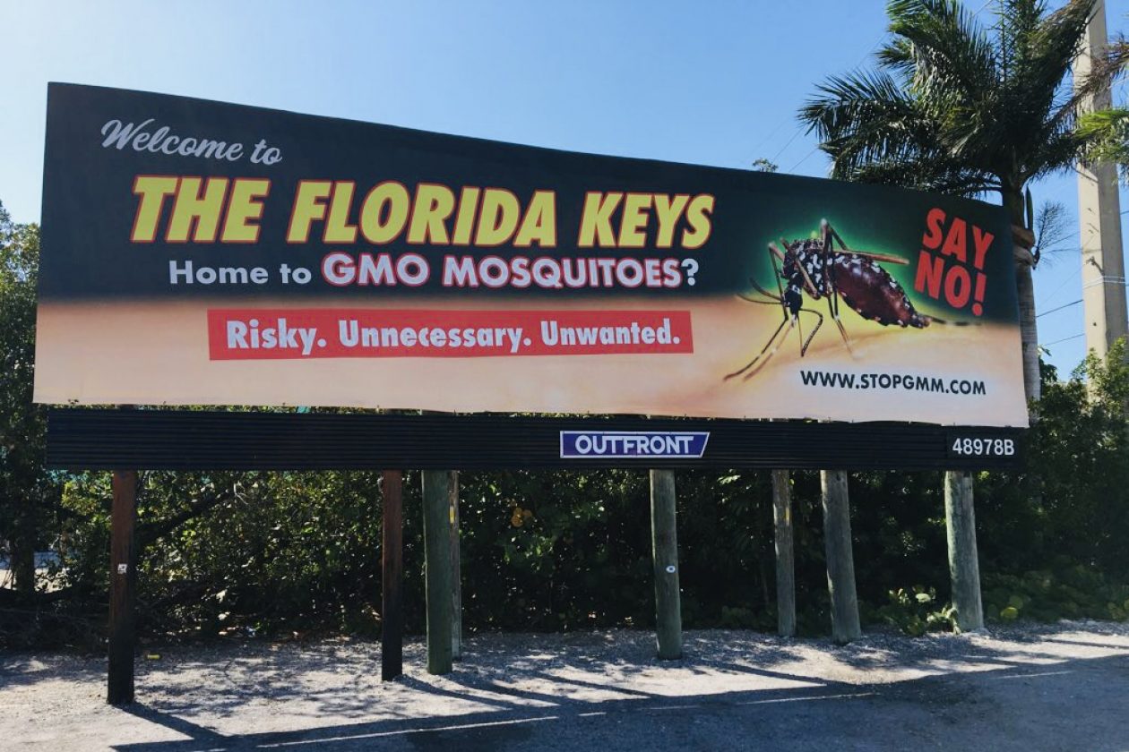 ‘Home To GMO Mosquitoes?!’ Florida Unleashes A Billion Lab Grown